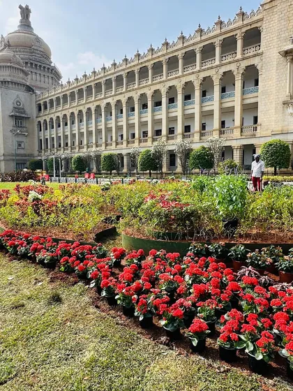 We had the honor of designing and installing the temporary gardens at the Vidhana Soudha in Bangalore. Working on such a prestigious government landmark, creating vibrant flower beds with thousands of red begonias, was a project we are incredibly proud of.
