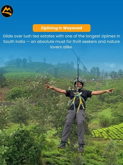 Ziplining over lush tea estates in Wayanad. This is one of the longest ziplines in South India and a must do for thrill seekers.