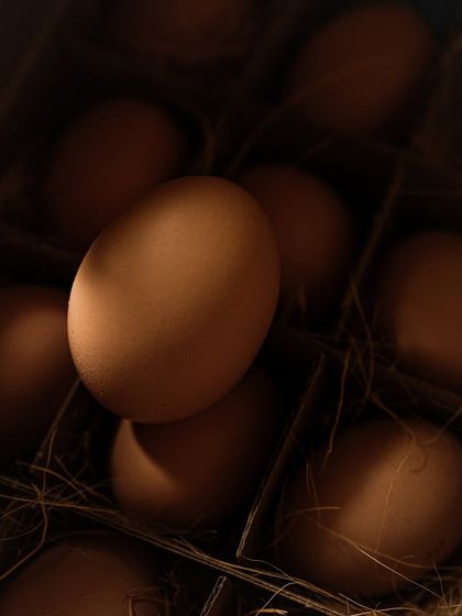 Food & Beverage Stories photo 12