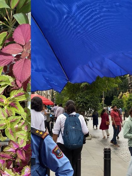 A collage capturing the blues and purples of a July day, from a large umbrella to colorful foliage.