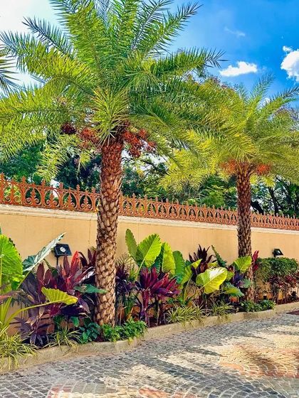 Neo Roots Design - Landscape Design & Execution Behind the Scenes photo 16