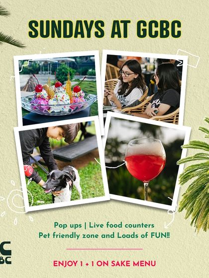 A collage showcasing the Sunday experience: good food, refreshing drinks, happy people, and happy pets.