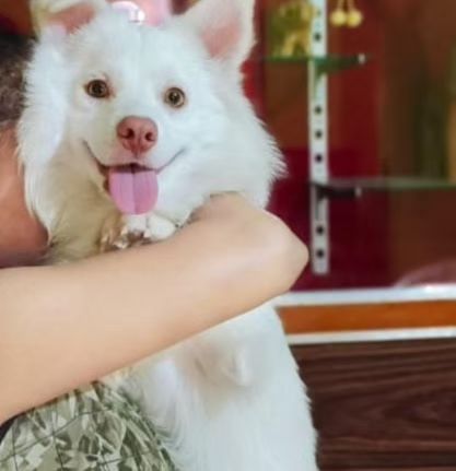 Guddu being hugged, showing his happy and smiling face. He is a friendly and loving companion.