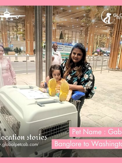 Global Pet Cab - International Pet Relocation Our Pawsengers: Dog Journeys photo 14