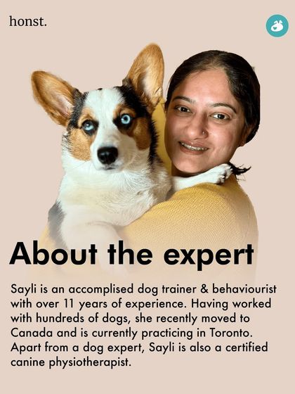 The Pack - Pet Parent Education & Workshops Expert-Led Online Masterclasses photo 31