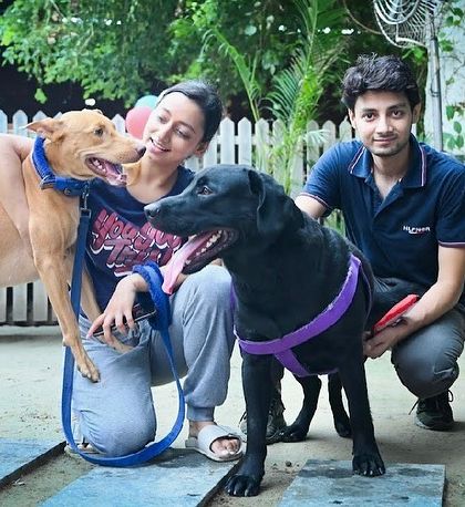 A beautiful shot of a couple with their two dogs in our outdoor area. It's a perfect family outing.