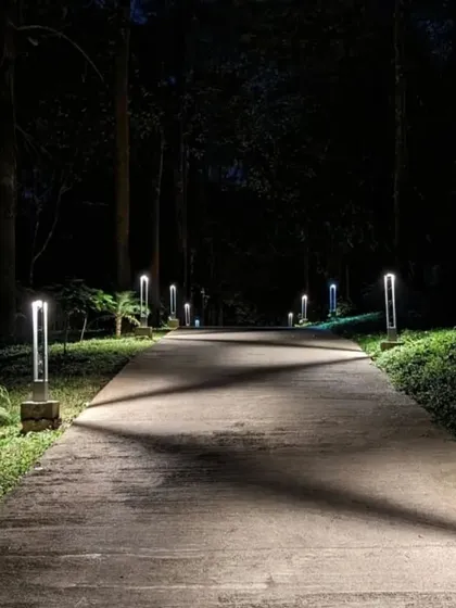 Strategic garden lighting transforms this pathway into a magical nightscape. I use lighting to not only ensure safety but also to highlight the textures and shapes of the landscape after dark, extending its beauty around the clock.