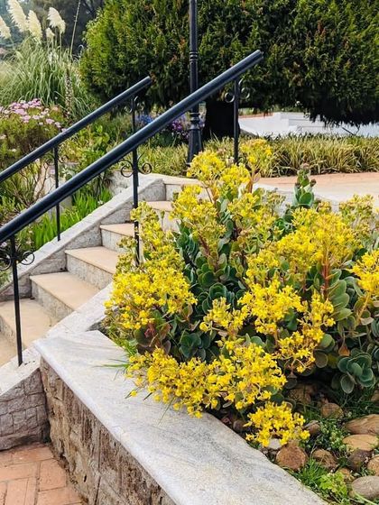 Ecoscapes Landscaping - Comprehensive Landscaping Services Commercial & Hospitality Landscapes photo 15