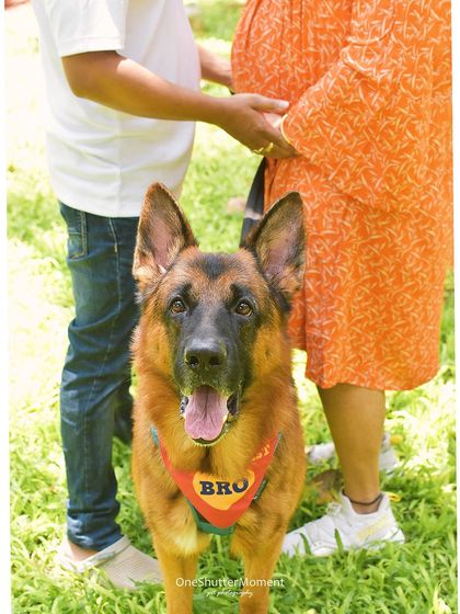 Priyanka - Family & Pet Photography Maternity & New Beginnings photo 8