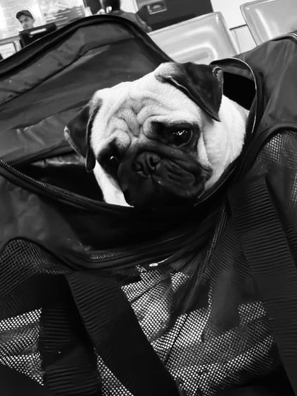 Airport Adventures: Confident & Calm Travels photo 9