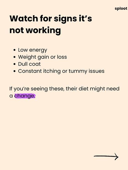 Watch for signs that your dog's diet isn't working. Low energy, weight changes, a dull coat, or constant itching can all be indicators that their food needs a change.