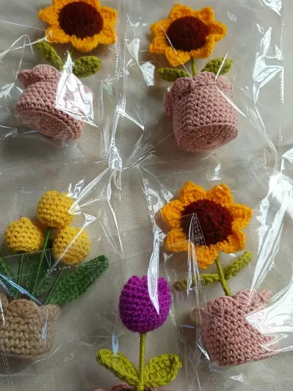 A collection of different potted flowers, each individually wrapped and ready to be sold.