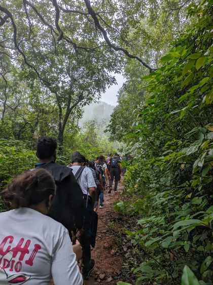 Trekkers making their way through a dense forest path on the Netravathi trek.
