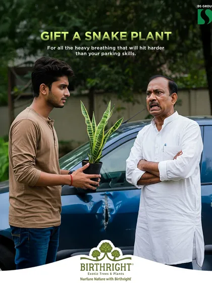 For the heavy breathing that will hit harder than your parking skills, gift a Snake Plant. It's a great air purifier and a funny, thoughtful gift for dad.