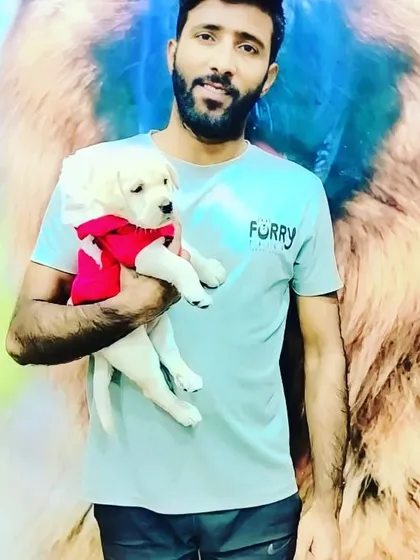 A member of our team proudly holds a tiny Labrador puppy wearing a cute red sweater. We are experienced in handling pets of all ages, including young puppies.