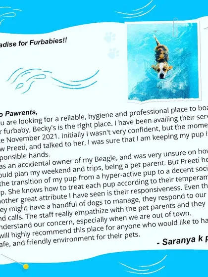 Hearing from happy pawrents means the world to me. This wonderful review highlights the safe, hygienic, and professional environment I work so hard to create. Knowing that I can help a pup transition from being anxious to social is why I do this.