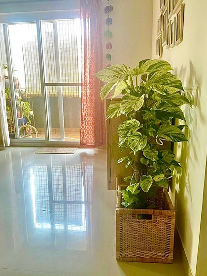 This is how you make a corner cozy. We added this beautiful Marble Queen Pothos in a cane basket to bring some warmth and texture to the living room. It’s a simple touch, but it completely changes the feel of the space.