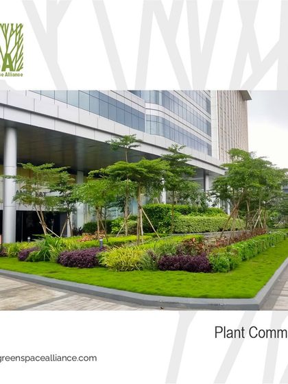 We create thriving plant communities in our projects. This image shows a rich mix of trees, shrubs, and groundcover at the base of a corporate building, contributing to biodiversity and ecological health.