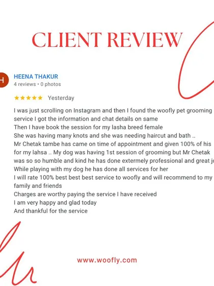 Dealing with knots and matted fur is a common challenge, especially for breeds like Lhasas. I'm so glad I could help this furry friend get comfortable and knot-free with a professional and gentle session.