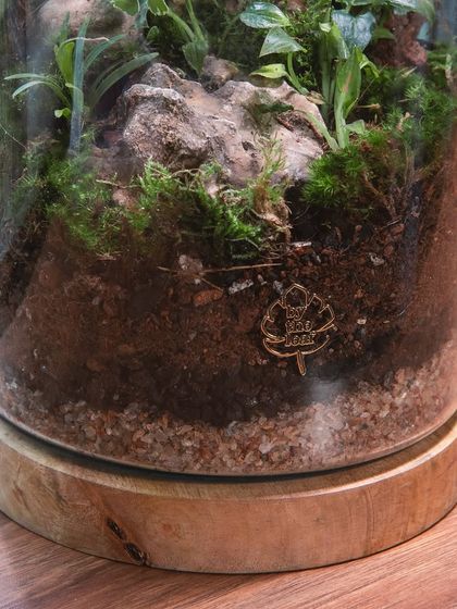 Creative Vessels: Teapots, Jars & More photo 35