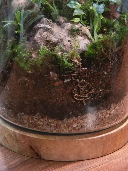 The base of the terrarium shows the layers of substrate and my signature logo. It's a handcrafted piece designed to bring nature indoors.