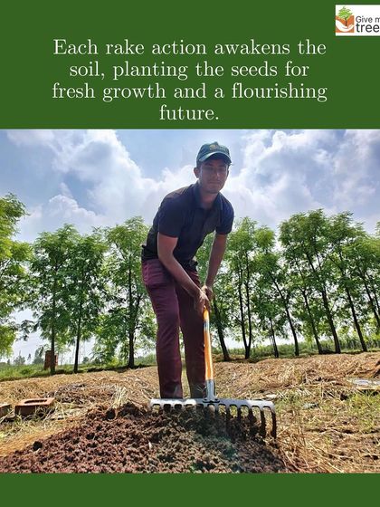 Preparing the land is the first crucial step. A team member rakes the soil, awakening it and getting it ready for new growth and a flourishing future.