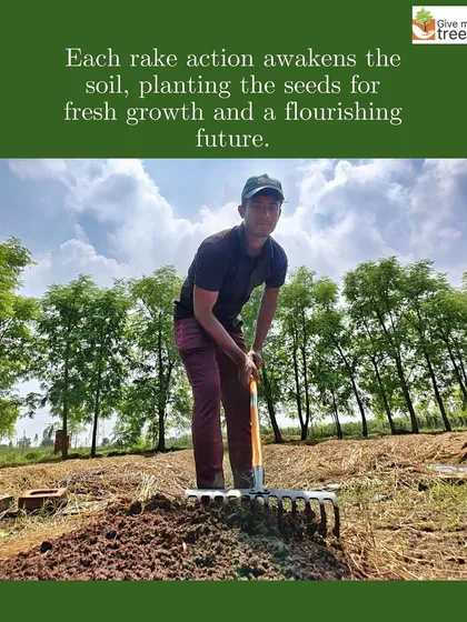 Preparing the soil is the first and most crucial step. Here, a team member rakes the soil, awakening it and getting it ready to nurture new life. A strong foundation is everything.
