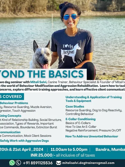 For dog trainers and serious enthusiasts, I offer my "Beyond the Basics" seminar. This intensive, two-day program dives deep into advanced topics like reactivity, resource guarding, E-collar conditioning, and effective client communication. It's about sharing the knowledge I've gained over 13 years in the field.