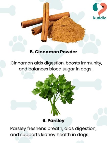 Kuddle - Pet Nutrition Consultation Is Your Pet a Picky Eater? photo 5