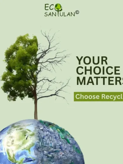 Eco Santulan - Waste Management Solutions Our Guiding Principles photo 11