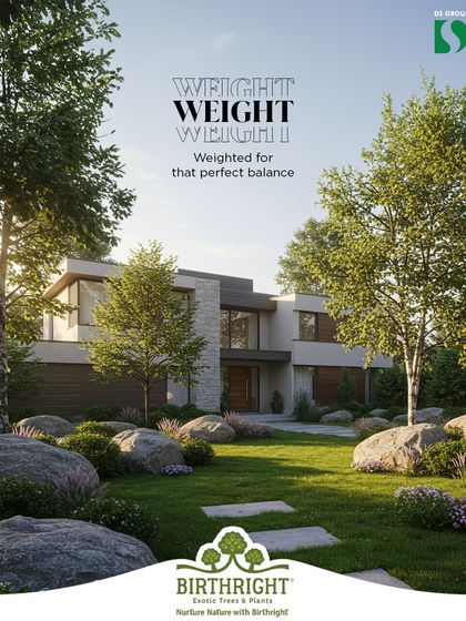 Visual weight is used to achieve perfect balance. In this design, the large, heavy mass of the boulders is balanced by the lighter, airier forms of the birch trees, creating a composition that feels grounded and harmonious.