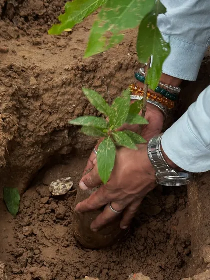 This is where it all begins. We believe in habitat creation, not just counting saplings. Every native plant we place in the soil is a promise to restore the Aravalis, bringing back an ecosystem that supports our city and its wildlife.