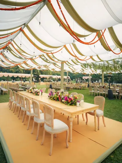 An elegant setup for a wedding lunch. Long wooden tables are set under a billowy canopy with olive and white drapes, accented with marigold garlands for a touch of tradition.