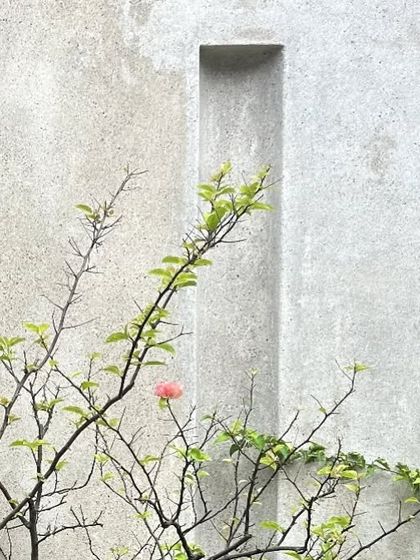 Landscapes & Natural Elements photo 7