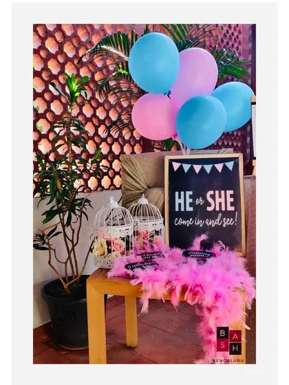 A charming welcome corner for a gender reveal party. The setup uses a chalkboard sign, classic pink and blue balloons, and decorative birdcages to invite guests in.