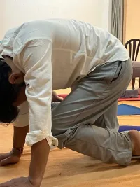 Classical Hatha Yoga Programs