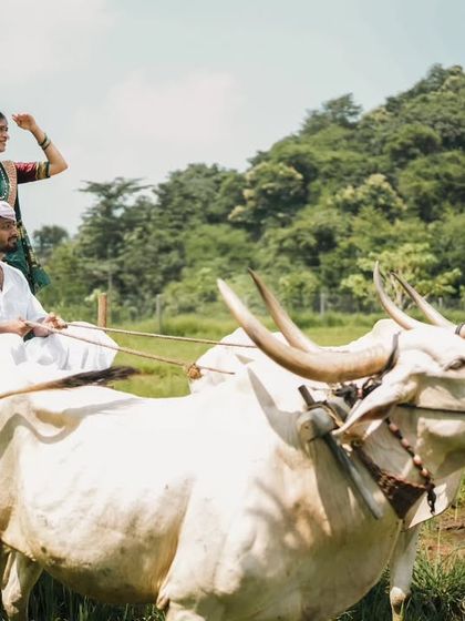 A rustic pre-wedding shoot with a bullock cart, connecting love with the simplicity of the countryside. It’s about finding beauty in our roots.