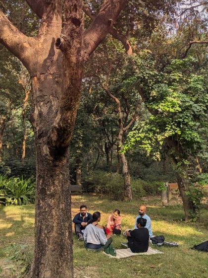 Trove Experiences - Wellness & Mindful Movement Forest Therapy: Reconnect with Nature photo 6