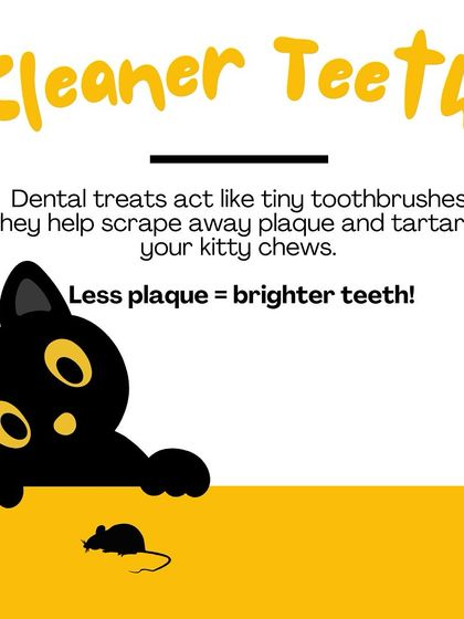 Oh My Dawg - Pet Supplies Grooming & Hygiene photo 6