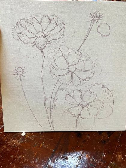 Before the paint, comes the plan. A simple sketch of cosmos flowers provides the guide for a beautiful and textured impasto painting.