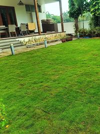 Landscape Installation & Design