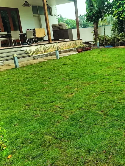 This is the end result we aim for: a perfectly green, healthy lawn that makes the whole house look better. We can create this beautiful, lush space for you to enjoy with your family.