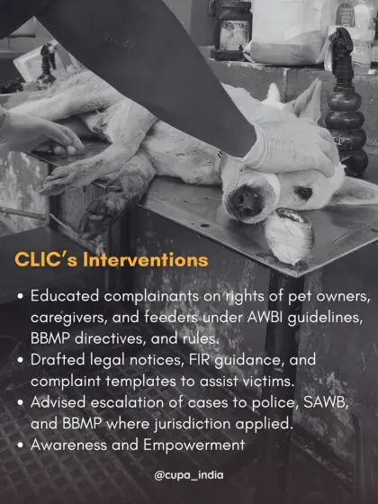 Cupa - Animal Cruelty Legal Aid & Advocacy Our Legal Fight for Animals photo 8