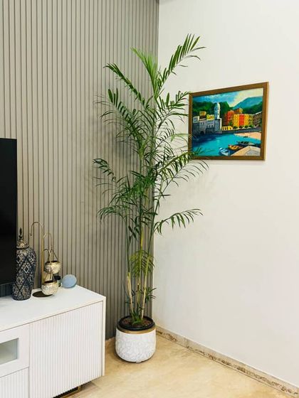Perfection is finding the right plant for the right spot. This tall Bamboo Palm fits perfectly in this corner, adding height and a tropical feel next to the TV console.