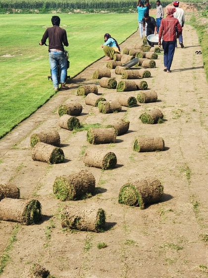 Delhi Gardner - Full-Service Landscaping Premium Lawn & Turf Solutions photo 50