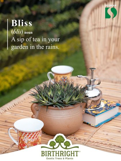There's a special kind of bliss in sipping tea in your garden during the rains. I help create these moments by designing serene, rain-friendly outdoor spaces.