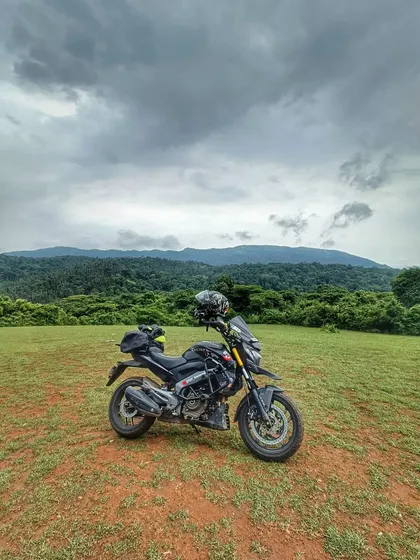 Two wheels, one love. A modified black Dominar parked on a grassy hilltop overlooking the forests of the Western Ghats in Karnataka.