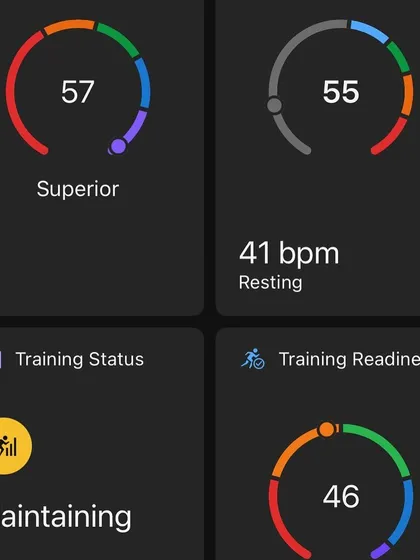My stats showing a VO2 Max of 57 and a low resting heart rate of 41 bpm. These are indicators of a well trained cardiovascular system.