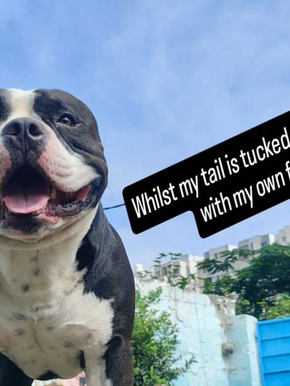 Whilst my tail is tucked deep inside with my own fear. The secret is out, Juno.