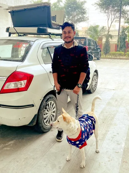 Here is Bubble again, posing proudly by the vehicle after his long-distance move. Seeing a pet happy and relaxed after a successful relocation is the best part of our job.